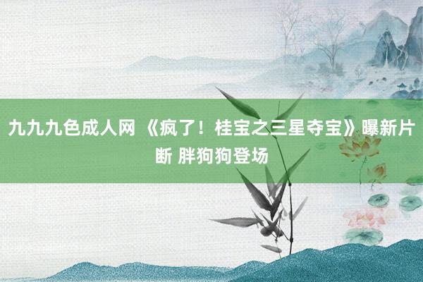 九九九色成人网 《疯了！桂宝之三星夺宝》曝新片断 胖狗狗登场