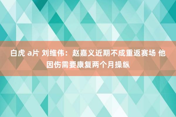 白虎 a片 刘维伟：赵嘉义近期不成重返赛场 他因伤需要康复两个月操纵