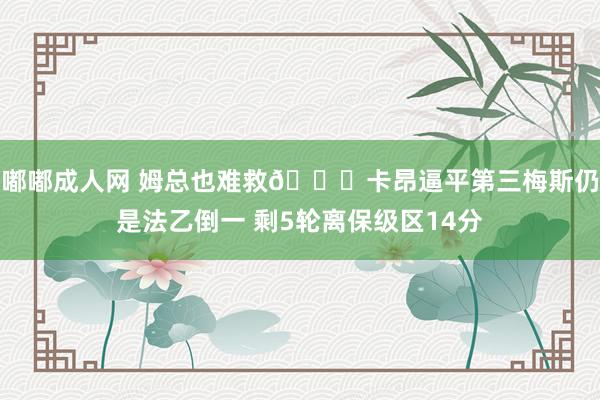 嘟嘟成人网 姆总也难救🙃卡昂逼平第三梅斯仍是法乙倒一 剩5轮离保级区14分